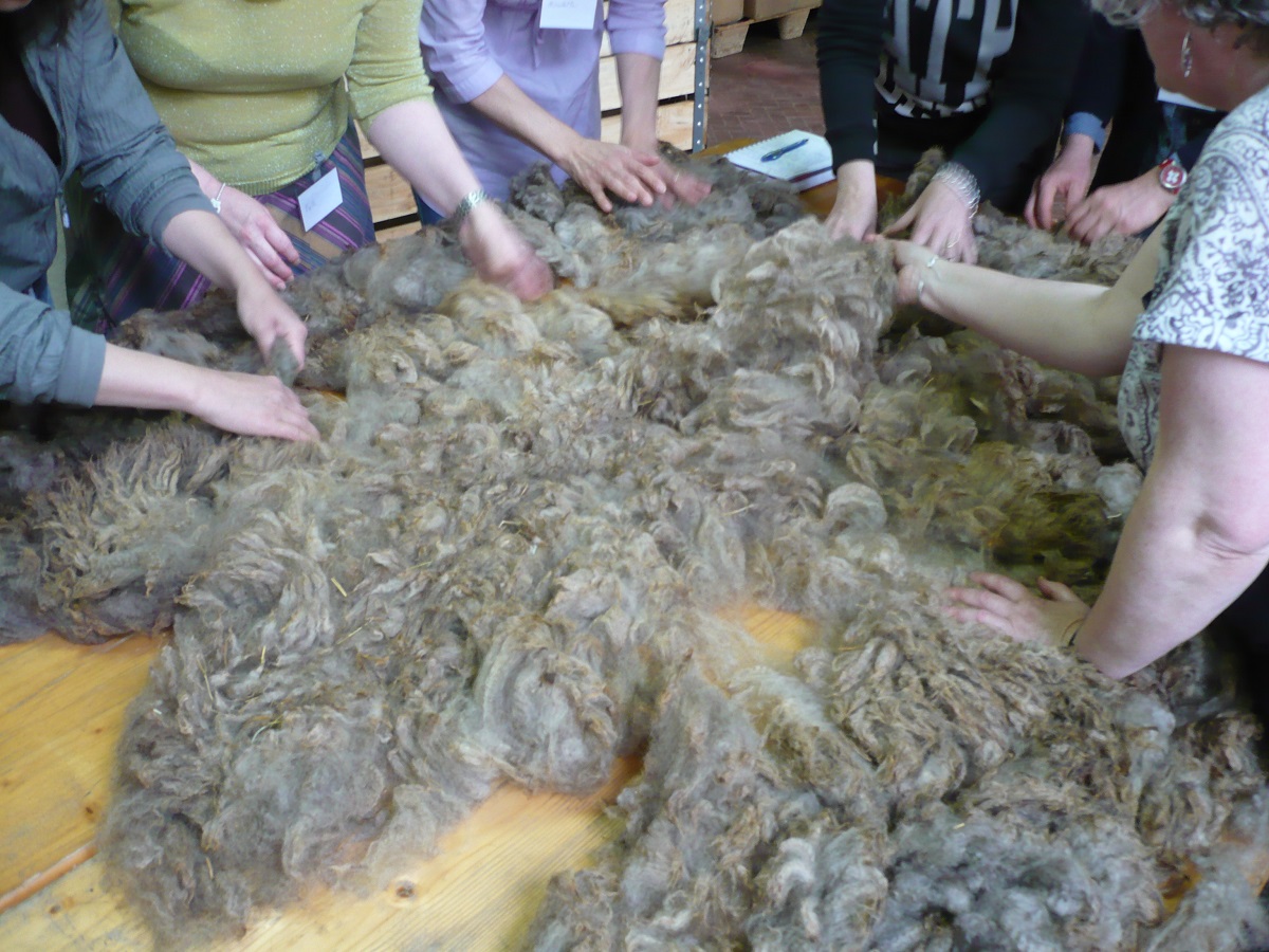 Fibers preparation - Preparazione delle fibre